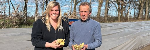 Heitmanns bei der Spargelernte