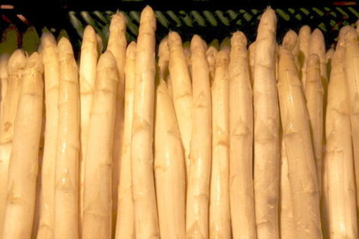 Spargel